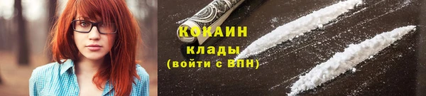 дживик Протвино